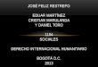 JOSÉ FELIZ RESTREPO EDUAR MARTÍNEZ CRISTIAN MARULANDA Y DANIEL TORO 1104 SOCIALES DERECHO INTERNACIONAL HUMANITARIO BOGOTÁ D.C. 2013