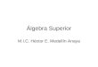 Álgebra Superior M.I.C. Héctor E. Medellín Anaya