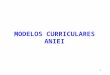 1 MODELOS CURRICULARES ANIEI. 2 Catálogo de todos los conceptos académicos que forman las carreras de computación o informática Organizado en forma de