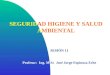 SEGURIDAD HIGIENE Y SALUD AMBIENTAL SESIÓN 11 Profesor: Ing. M.Sc. José Jorge Espinoza Eche