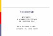 FECOOPSE RIESGOS Y COMPETITIVIDAD EN SECTOR CAC 08 DE SETIEMBRE DE 2011 EXPOSITOR: DR. JORGE AMBRAM 1