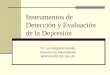 Instrumentos de Detección y Evaluación de la Depresión Ps. Luz Aragonés Alosilla Dirección de Salud Mental MINISTERIO DE SALUD