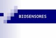 BIOSENSORES. DEFINICIÓN Un biosensor es una herramienta o sistema analítico compuesto por un material biológico inmovilizado (tal como una enzima, anticuerpo,