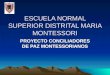 ESCUELA NORMAL SUPERIOR DISTRITAL MARIA MONTESSORI PROYECTO CONCILIADORES DE PAZ MONTESSORIANOS