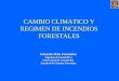 Eduardo Peña Fernández Ingeniero Forestal (Dr.) Universidad de Concepción Facultad de Ciencias Forestales CAMBIO CLIMATICO Y REGIMEN DE INCENDIOS FORESTALES