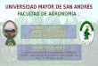 INSTITUTO DE INVESTIGACIONES AGROPECUARIAS Jorge Cusicanqui Primer Seminario de Investigación SANREM CRSP: Adaptación al Cambio en los Andes. La Paz, 24-28