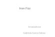 Iron Fizz Envasadoras Gabriela García Gálvez. Características del servicio logístico  Calidad  Cantidad  Volumen  Tiempo  Transporte  Manipulación