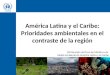 América Latina y el Caribe: Prioridades ambientales en el contraste de la región XIX Reunión del Foro de Ministros de Medio Ambiente de América Latina