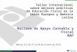 Núcleos de Apoyo Contable y Fiscal NAF Taller internacional sobre mejores prácticas de Educación Fiscal en la Unión Europea y América Latina México