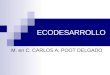ECODESARROLLO M. en C. CARLOS A. POOT DELGADO. El ecodesarrollo se refiere: A una estrategia fundamentada en las teorías de la participación social y