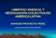 LIBERTAD SINDICAL Y NEGOCIACIÓN COLECTIVA EN AMÉRICA LATINA AVANCES PROYECTO FESAL Luis Fuertes Proyecto FSAL/ACTRAV/OIT