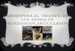 ARTRÓPODA:EL TRIUNFO DE LOS ANIMALES ECDIZOSOOS ARTICULADOS