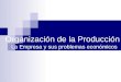 Organización de la Producción La Empresa y sus problemas económicos