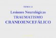 Dra.Laura García Rodriguez1 Lesiones Neurológicas TRAUMATISMO CRANEOENCEFÁLICO TEMA 11
