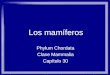 Los mamíferos Phylum Chordata Clase Mammalia Capítulo 30