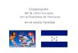Cooperación de la Unión Europea con la República de Honduras en el sector forestal