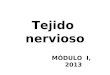 Tejido nervioso MÓDULO I, 2013. OBJETIVO Identificar las características estructurales de la neurona