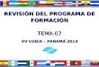 REVISIÓN DEL PROGRAMA DE FORMACIÓN TEMA-07 XV CODIA – PANAMÁ 2014