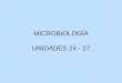MICROBIOLOGÍA UNIDADES 24 - 27. Microorganismos Concepto de microorganismo. Clasificación de los microorganismos. Bacterias Virus. Microorganismos eucarióticos