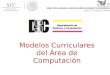 Modelos Curriculares del Área de Computación. Modelos Curricular ACM-IEEE ANIEI-CENEVAL