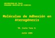 UNIVERSIDAD DE TALCA PROGRAMA MAGÍSTER EN CIENCIAS Moléculas de Adhesión en Aterogénesis TM. Carla Toro O. Junio 2005