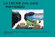 La LECHE nos está MATANDO Texto: Jorge Mª Ribero-Meneses Lázaro Producción: Balodia Ribero-Meneses Sanz