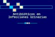 Antibióticos en Infecciones Urinarias. INFECCIONES DEL TRACTO URINARIO Patogénesis: La invasión al tracto urinario está determinada por:  virulencia