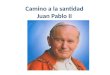 Camino a la santidad Juan Pablo II. El proceso para llevar a Juan Pablo II a la santidad El proceso para llevar a Juan Pablo II a la santidad incluye
