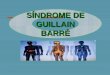 SÍNDROME DE GUILLAIN BARRÉ GUILLAIN BARRÉ.  El sistema nervioso periférico, a través de sus divisiones motora, sensorial y autonómica, constituye un
