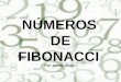 NÚMEROS DE FIBONACCI Por Javier Abajo. ¿Quién es Fibonacci? -Leonardo Bigollo (Fibonacci) nació en 1180. -Su padre, le inició en asuntos de negocios y