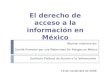 Instituto Federal de Acceso a la Información 19 de noviembre de 2009 Reunión ordinaria del Comité Promotor por una Maternidad Sin Riesgos en México El