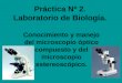 Práctica Nº 2. Laboratorio de Biología. Conocimiento y manejo del microscopio óptico compuesto y del microscopio estereoscópico