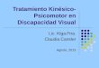 Tratamiento Kinésico- Psicomotor en Discapacidad Visual Lic. Klga.Ftra. Claudia Cansler Agosto, 2013
