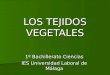 LOS TEJIDOS VEGETALES 1º Bachillerato Ciencias IES Universidad Laboral de Málaga