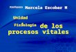 Chapter 1 1 Unidad 1 Profesora Marcela Escobar M Fisiología de los procesos vitales