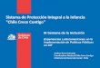 Sistema de Protección Integral a la Infancia “Chile Crece Contigo” Andrea Torres Sansotta Coordinadora Nacional Chile Crece Contigo Ministerio de Desarrollo