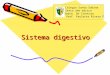 Sistema digestivo Colegio Santa Sabina Sexto año básico Depto. De Ciencias Prof. Paulette Rivera F