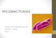 MICOBACTERIAS Cátedra Microbiología General FACENA – UNNE 2014