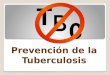 Prevención de la Tuberculosis. Es una enfermedad infecto- contagiosa crónica, prevenible y curable, producida por el bacilo de Koch. ¿Qué es la tuberculosis?