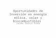 Oportunidades de Inversión en energía eólica, solar y biocombustibles Jaime Barco Roda