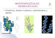 MACROMOLÉCULAS BIOMOLÉCULAS  Proteínas, ácidos nucleicos, carbohidratos y lípidos