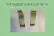 EXTRACCIÓN DE CLOROFILA. MATERIALES -Etanol: 40ml -Base soporte -Acetona: 40ml -2 vasos de precipitado -Espinacas -Arena - 2 morteros -Papel de filtro