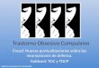 Trastorno Obsesivo Compulsivo Freud: Nuevas puntualizaciones sobre las neuropsicosis de defensa. Gabbard: TOC y TOCP Isabel Lucía Herrera Larotonda