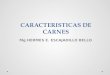 CARACTERISTICAS DE CARNES Mg HERMES E. ESCAJADILLO BELLO