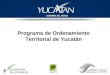 Programa de Ordenamiento Territorial de Yucatán. Incorporación de los Presidentes Municipales por región COPLADE al Órgano Ejecutivo