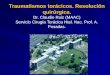 Traumatismos torácicos. Resolución quirúrgica. Dr. Claudio Ruiz (MAAC) Servicio Cirugía Torácica Htal. Nac. Prof. A. Posadas