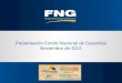 Presentación Fondo Nacional de Garantías Noviembre de 2012