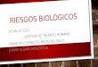 RIESGOS BIOLÓGICOS FICHA: 671221 GESTIÓN DE TALENTO HUMANO FRANCISCO ERNESTO MOZO AGUDELO JOHAN ALDAIR ATEHORTUA