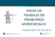MESA DE TRABAJO DE PRINCIPIOS AMBIENTALES Septiembre 02 de 2014