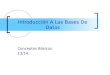 Introducción A Las Bases De Datos Conceptos Básicos. 13/14